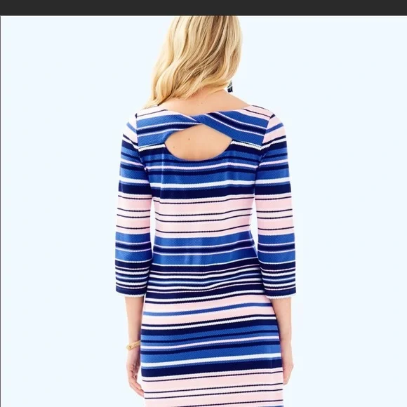 Lilly Pulitzer Paradise Pin the Swim Stripe shift dress NWT size Large - Picture 2 of 7